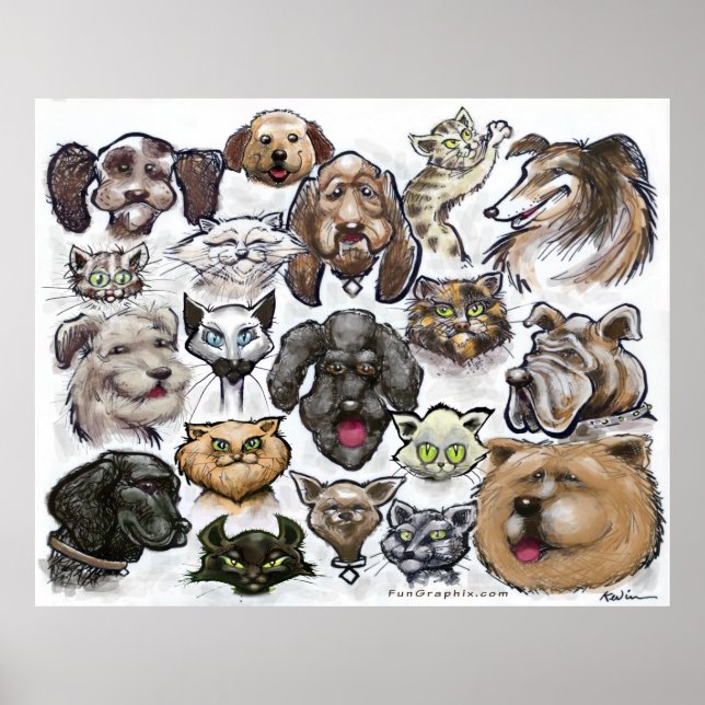 Póster Gatos y perros (Frente)