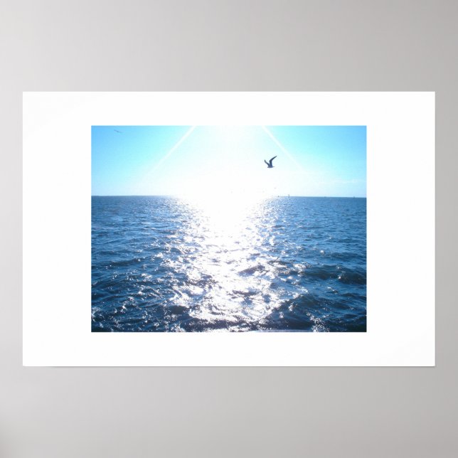 Póster Gaviota (Frente)