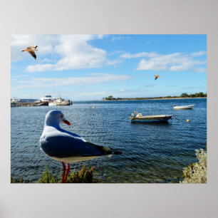Póster Gaviota, Barcos Y El Océano,