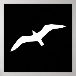 Póster Gaviota Blanca