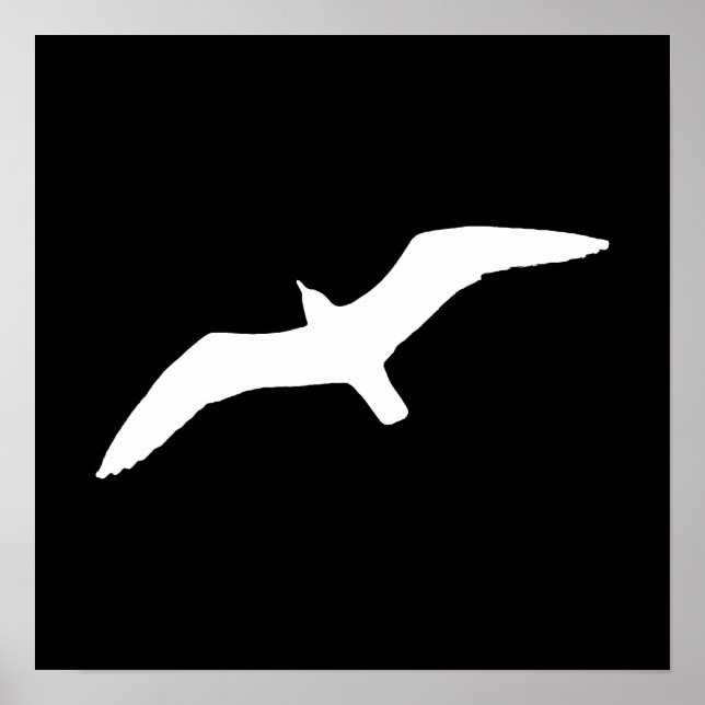 Póster Gaviota Blanca (Frente)