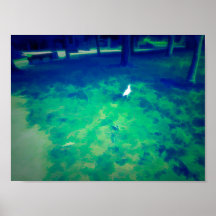 Gaviota caminando sobre hierba aclara el efecto de