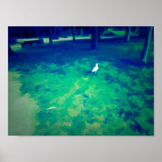 Póster Gaviota caminando sobre hierba aclara el efecto de (Frente)