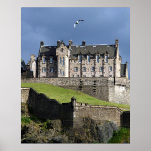 Póster gaviota del castillo de edinburgh