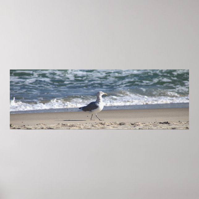 Póster Gaviota en el Poster de la playa (Frente)