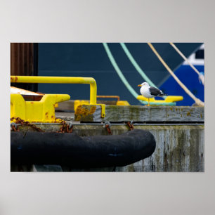 Póster Gaviota en un ambiente abstracto