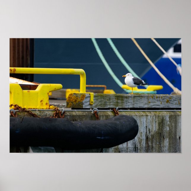 Póster Gaviota en un ambiente abstracto (Frente)