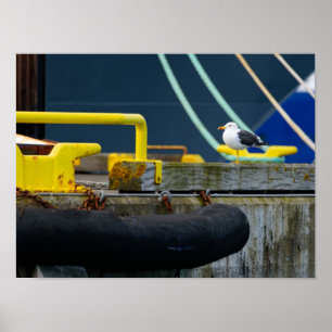 Póster Gaviota en un entorno abstracto