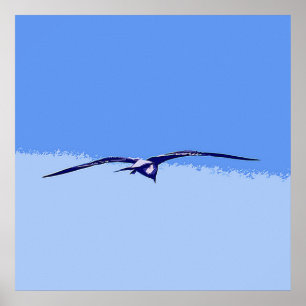 Póster Gaviota Marítima En Vuelo