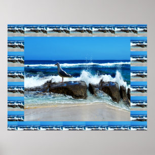 Póster Gaviota Sobre Rocas De Playa,