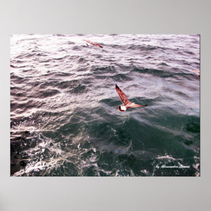 PÓSTER GAVIOTA VOLANDO SOBRE LAS OLAS
