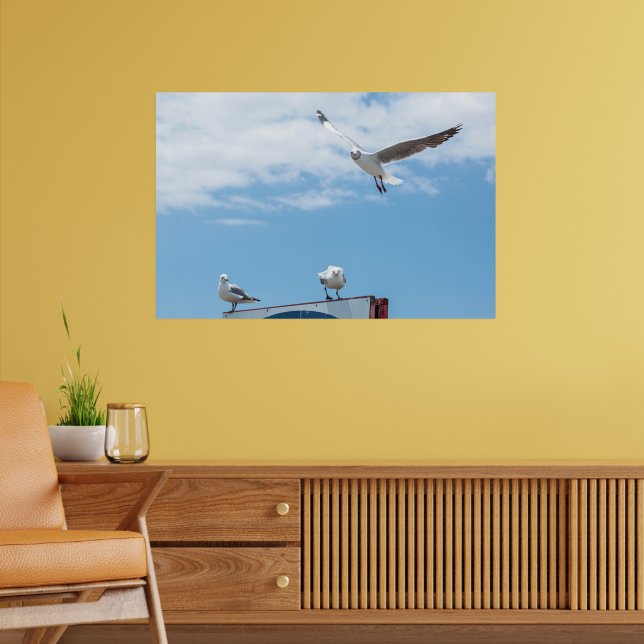 Póster Gaviotas Aves Sentadas Volando Cielo Azul (Salón 2)