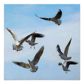 Póster Gaviotas De Cabeza Negra Del Arte Del Bósforo