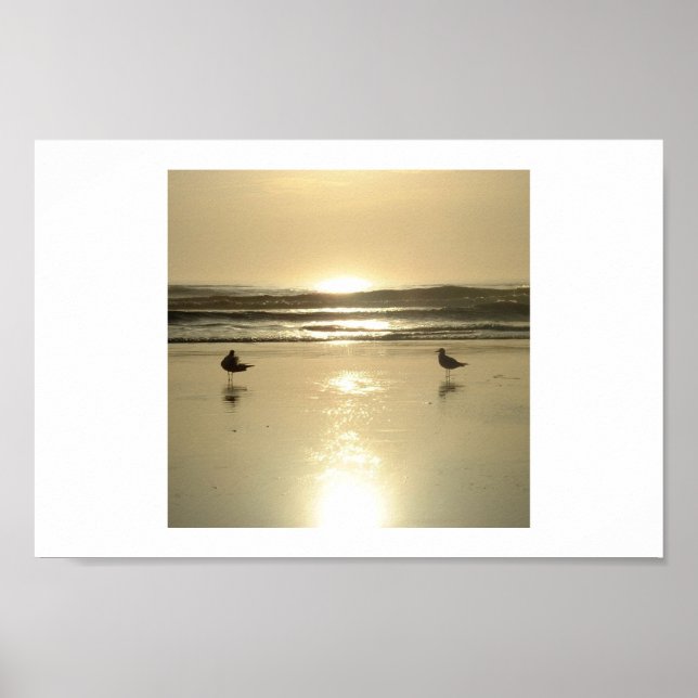 Póster Gaviotas de Daytona (Frente)