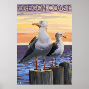 Póster Gaviotas de la Costa de Oregón