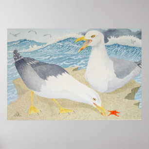 Póster Gaviotas descansando sobre un acantilado