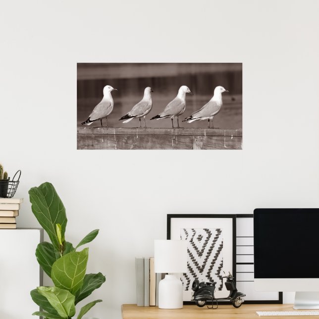 Póster Gaviotas en fila (Oficina en casa)