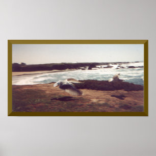 Póster Gaviotas En Poster De Vuelo
