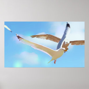 Póster Gaviotas en Poster de vuelo