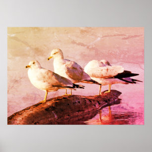 Póster Gaviotas en un registro