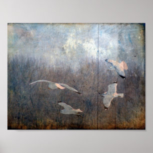 Póster Gaviotas Grunge