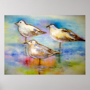 Póster Gaviotas - poster