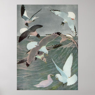 Póster Gaviotas sobre olas del océano por Louis Agassiz F