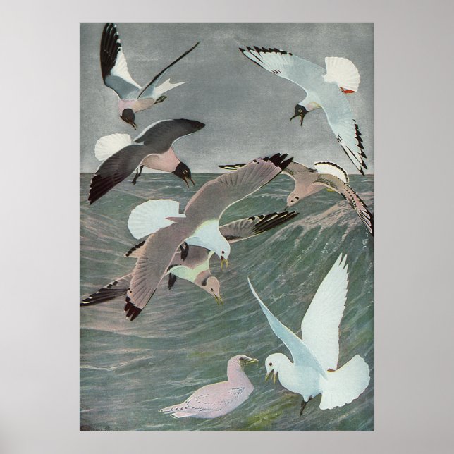 Póster Gaviotas sobre olas oceánicas por Louis Agassiz Fu (Frente)