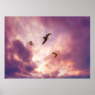 Póster Gaviotas volando en un cielo de puesta de sol