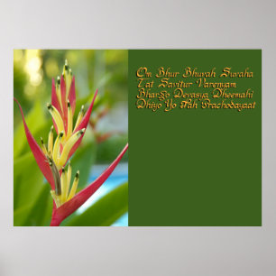 Póster Gayatri mantra