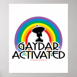Póster Gaydar activó