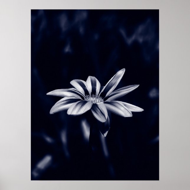 Póster gazatía (Frente)