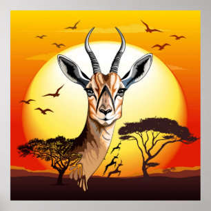 Póster Gazelle Animal salvaje Antelope africano