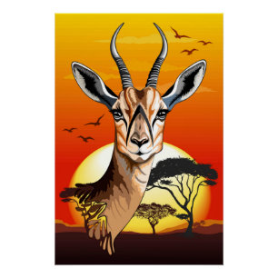 Póster Gazelle Animal salvaje Antelope africano