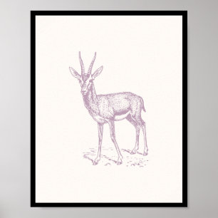 Póster Gazelle Deer