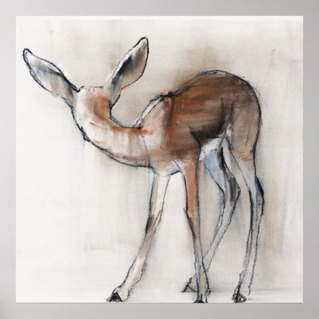 Póster Gazelle Fawn (Frente)