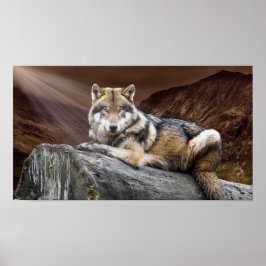 Póster Gazing Wolf