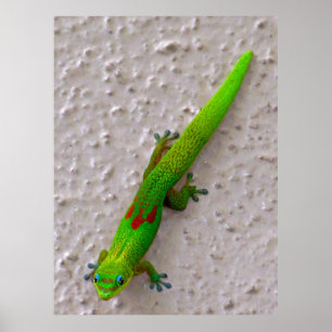 Póster Gecko del Día del Polvo Oro