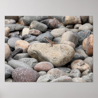 Póster Gecko en las Rocas por favor