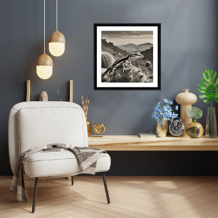 Póster Gecko - Imágenes de archivo