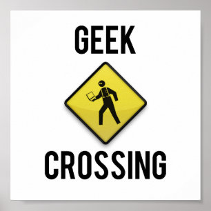 Póster Geek Crossing