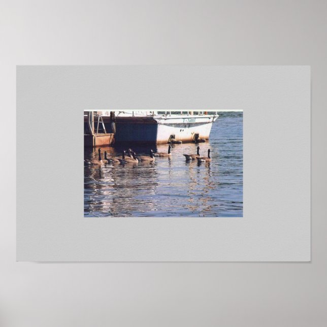 Póster Geese (Frente)