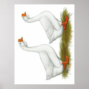 Póster Geese africano blanco