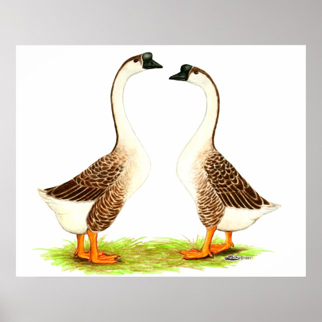 Póster Geese: Chino pardo (Frente)