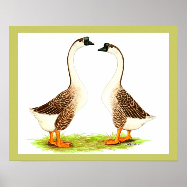 Póster Geese: Chino pardo (Frente)
