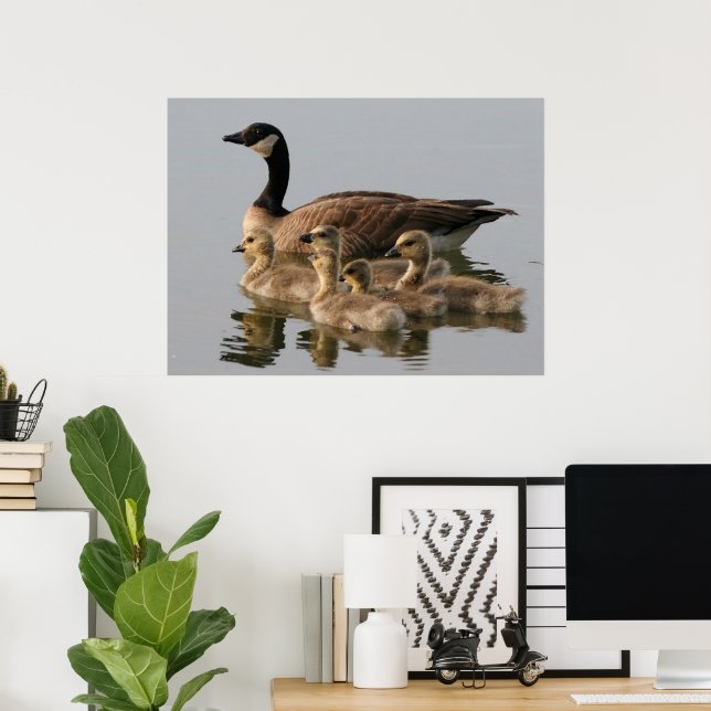 Póster Geese de ganso canadiense (Oficina en casa)