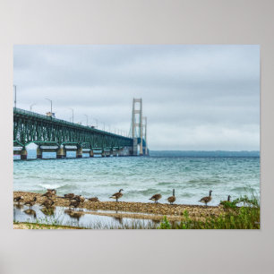 Póster Geese En Mighty Mac