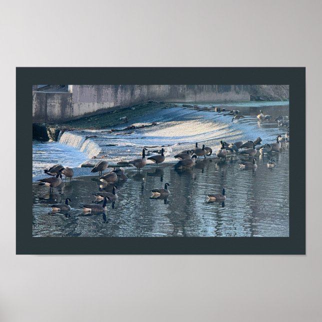Póster Geese por Waterfall Photo Poster (Frente)