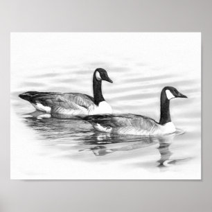 Póster Geese sobre el agua