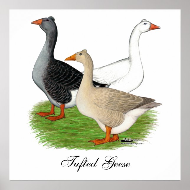 Póster Geese: Trio desquiciado (Frente)